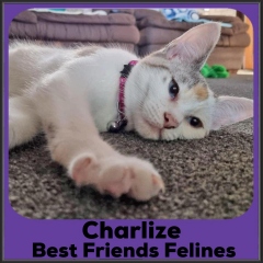 2021-Charlize