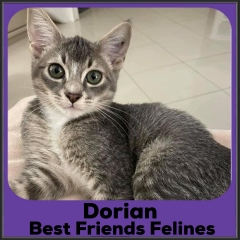 2021-Dorian
