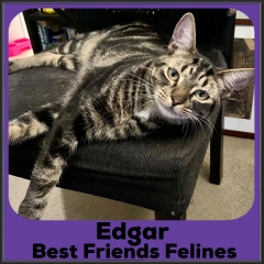 2021-Edgar2
