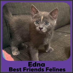 2021-Edna