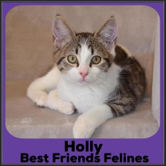 2021-Holly