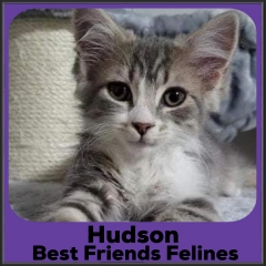 2021-Hudson