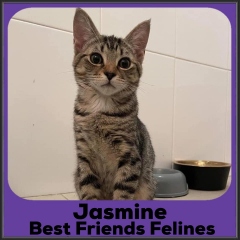 2021-Jasmine