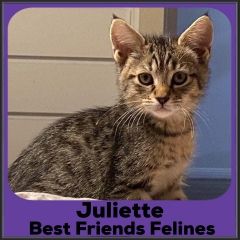 2021-Juliette