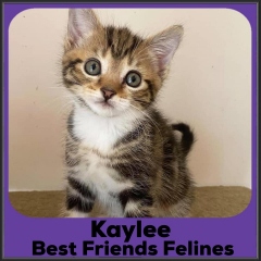 2021-Kaylee
