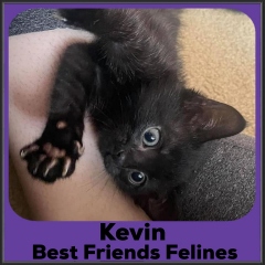 2021-Kevin