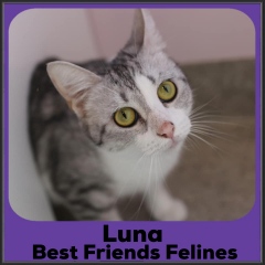 2021-Luna