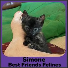 2021-Simone