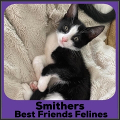 2021-Smithers
