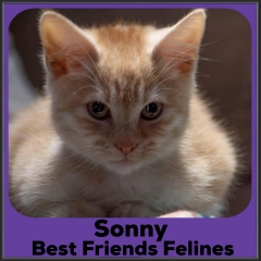 2021-Sonny