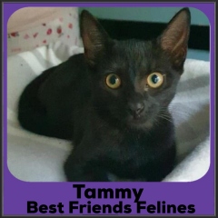 2021-Tammy