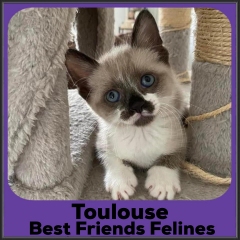 2021-Toulouse