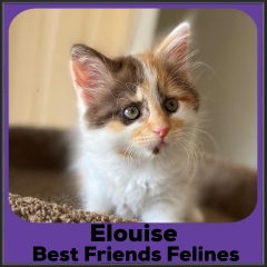 2022-Elouise