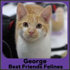 2022-George1