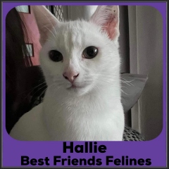 2022-Hallie