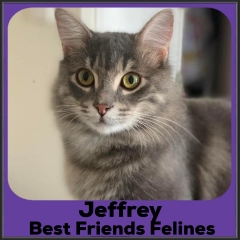 2022-Jeffrey