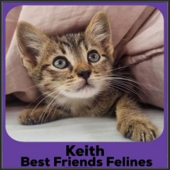 2022-Keith
