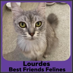2022-Lourdes
