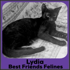 2022-Lydia1