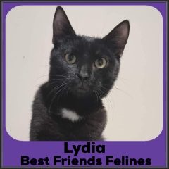 2022-Lydia2