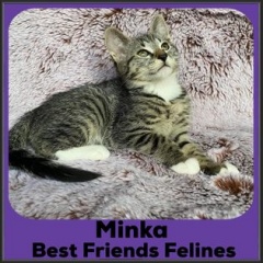 2022-Minka