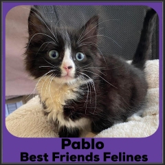 2022-Pablo