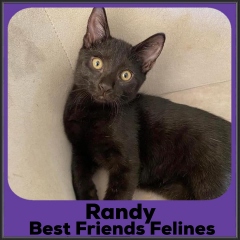2022-Randy