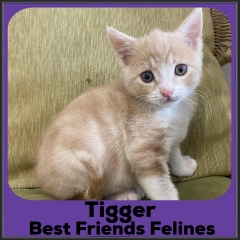 2022-Tigger