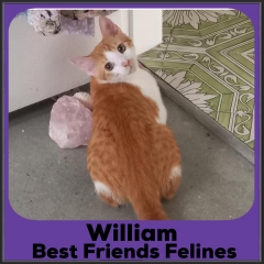2022-William
