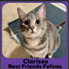 2023-Clarissa2