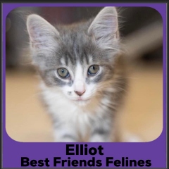 2023-Elliot