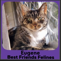 2023-Eugene