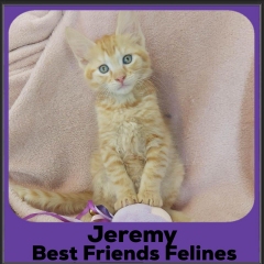 2023-Jeremy