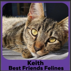 2023-Keith