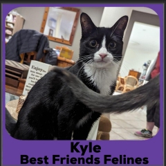 2023-Kyle3