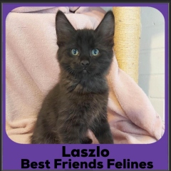 2023-Laszlo