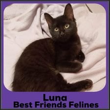 2023-Luna
