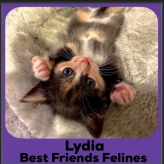 2023-Lydia-DSH