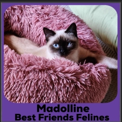 2023-Madolline