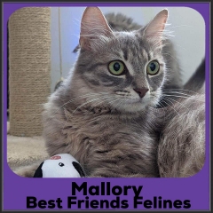 2023-Mallory