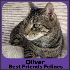 2023-Oliver