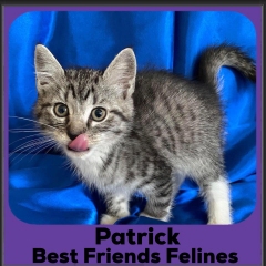 2023-Patrick