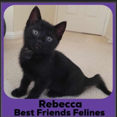 2023-Rebecca