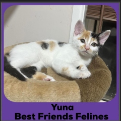 2023-Yuna