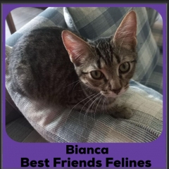 2024-Bianca