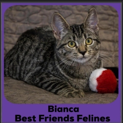 2024-Bianca2
