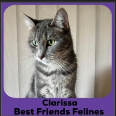 2024-Clarissa