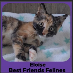 2024-Eloise