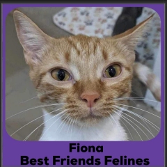 2024-Fiona