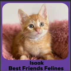 2024-Isaak